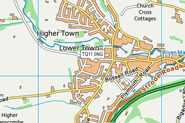 TQ11 0NG map - OS VectorMap District (Ordnance Survey) TQ11 0NG map - OS VectorMap District (Ordnance Survey)