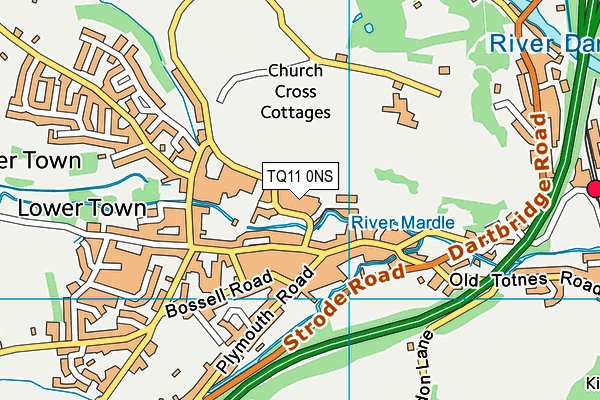 TQ11 0NS map - OS VectorMap District (Ordnance Survey)