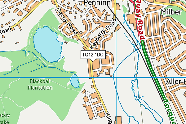 TQ12 1DQ map - OS VectorMap District (Ordnance Survey) TQ12 1DQ map - OS VectorMap District (Ordnance Survey)