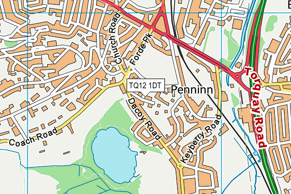 TQ12 1DT map - OS VectorMap District (Ordnance Survey)