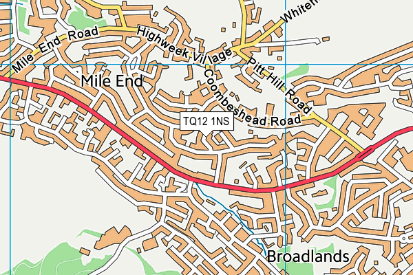 TQ12 1NS map - OS VectorMap District (Ordnance Survey) TQ12 1NS map - OS VectorMap District (Ordnance Survey)