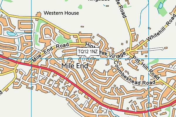 TQ12 1NZ map - OS VectorMap District (Ordnance Survey) TQ12 1NZ map - OS VectorMap District (Ordnance Survey)