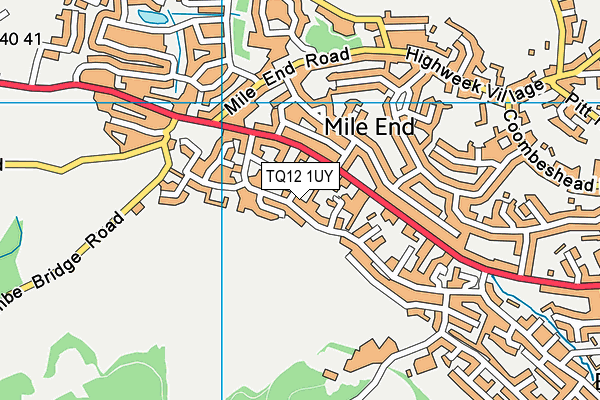 TQ12 1UY map - OS VectorMap District (Ordnance Survey)