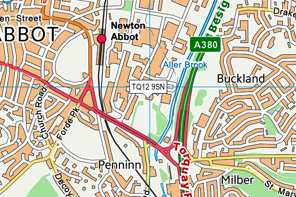 TQ12 9SN map - OS VectorMap District (Ordnance Survey) TQ12 9SN map - OS VectorMap District (Ordnance Survey)