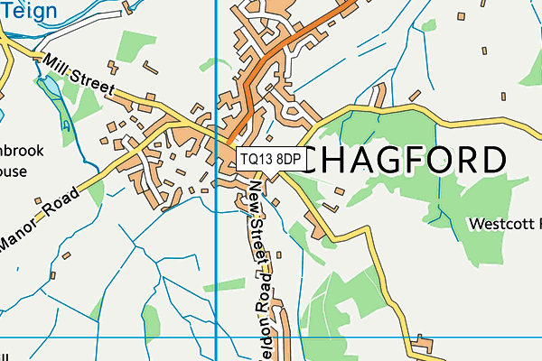 TQ13 8DP map - OS VectorMap District (Ordnance Survey) TQ13 8DP map - OS VectorMap District (Ordnance Survey)