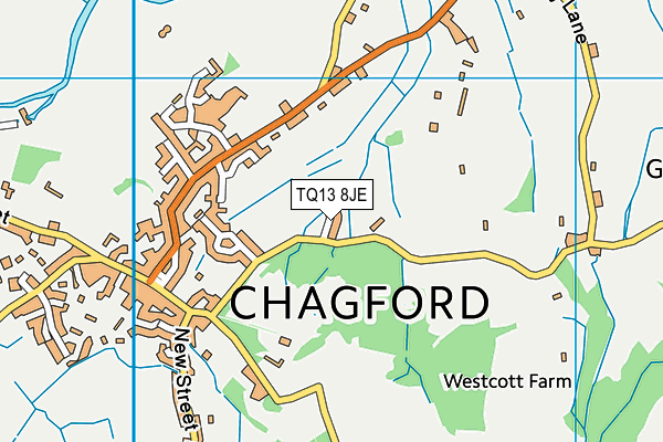 TQ13 8JE map - OS VectorMap District (Ordnance Survey)