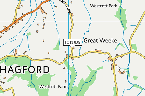 TQ13 8JG map - OS VectorMap District (Ordnance Survey)