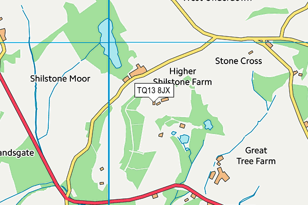 TQ13 8JX map - OS VectorMap District (Ordnance Survey)