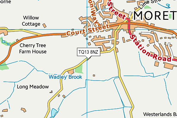 TQ13 8NZ map - OS VectorMap District (Ordnance Survey)