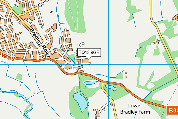 TQ13 9GE map - OS VectorMap District (Ordnance Survey) TQ13 9GE map - OS VectorMap District (Ordnance Survey)