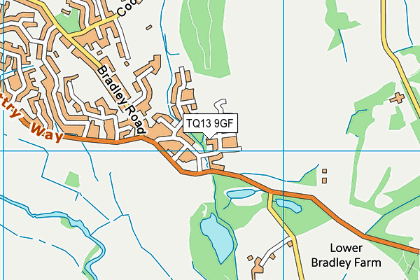 TQ13 9GF map - OS VectorMap District (Ordnance Survey) TQ13 9GF map - OS VectorMap District (Ordnance Survey)