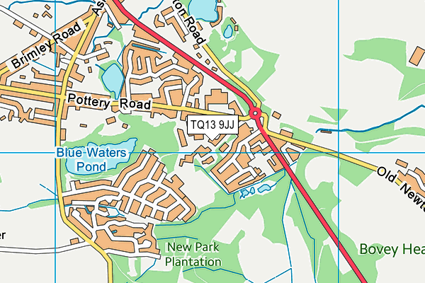 TQ13 9JJ map - OS VectorMap District (Ordnance Survey)