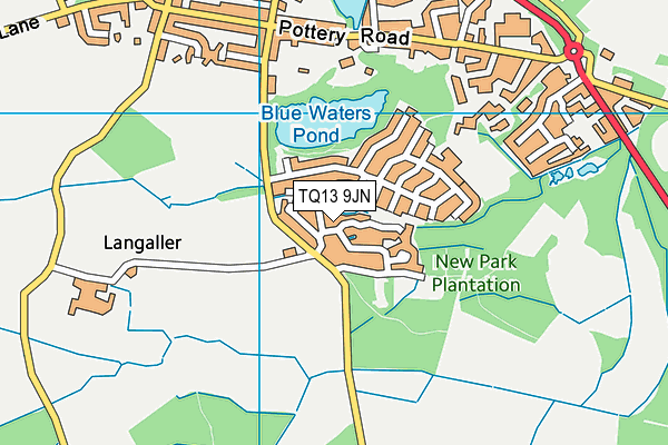 TQ13 9JN map - OS VectorMap District (Ordnance Survey)
