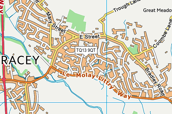 TQ13 9QT map - OS VectorMap District (Ordnance Survey) TQ13 9QT map - OS VectorMap District (Ordnance Survey)