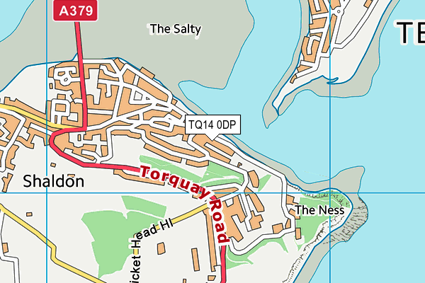 TQ14 0DP map - OS VectorMap District (Ordnance Survey) TQ14 0DP map - OS VectorMap District (Ordnance Survey)