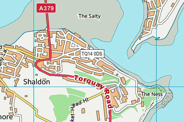 TQ14 0DS map - OS VectorMap District (Ordnance Survey) TQ14 0DS map - OS VectorMap District (Ordnance Survey)