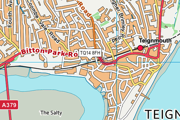 TQ14 8FH map - OS VectorMap District (Ordnance Survey) TQ14 8FH map - OS VectorMap District (Ordnance Survey)