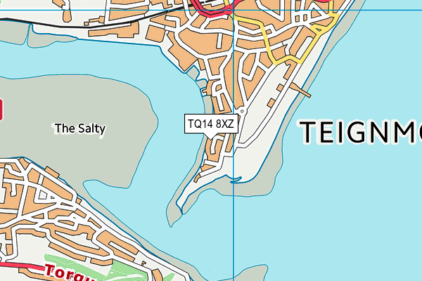 TQ14 8XZ map - OS VectorMap District (Ordnance Survey) TQ14 8XZ map - OS VectorMap District (Ordnance Survey)