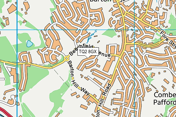 TQ2 8GX map - OS VectorMap District (Ordnance Survey) TQ2 8GX map - OS VectorMap District (Ordnance Survey)