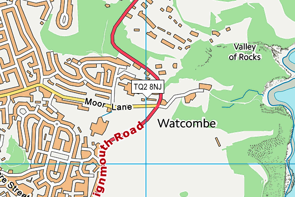 TQ2 8NJ map - OS VectorMap District (Ordnance Survey) TQ2 8NJ map - OS VectorMap District (Ordnance Survey)