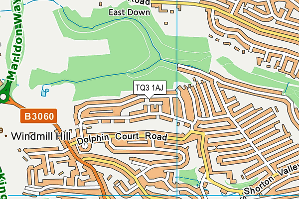 TQ3 1AJ map - OS VectorMap District (Ordnance Survey)