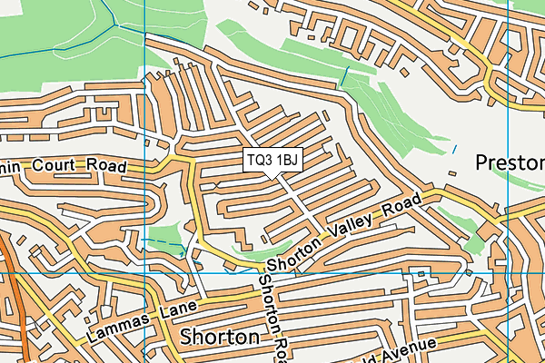 TQ3 1BJ map - OS VectorMap District (Ordnance Survey) TQ3 1BJ map - OS VectorMap District (Ordnance Survey)