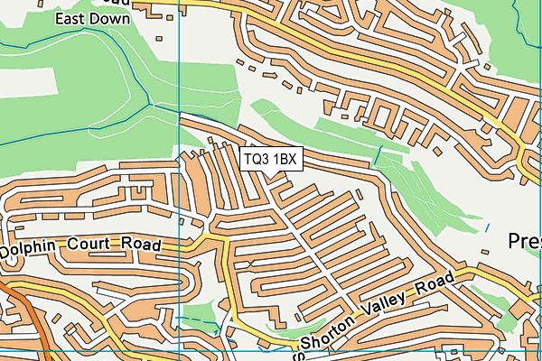 TQ3 1BX map - OS VectorMap District (Ordnance Survey) TQ3 1BX map - OS VectorMap District (Ordnance Survey)