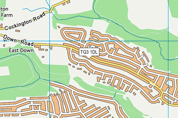 TQ3 1DL map - OS VectorMap District (Ordnance Survey) TQ3 1DL map - OS VectorMap District (Ordnance Survey)