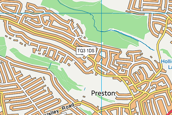 TQ3 1DS map - OS VectorMap District (Ordnance Survey) TQ3 1DS map - OS VectorMap District (Ordnance Survey)