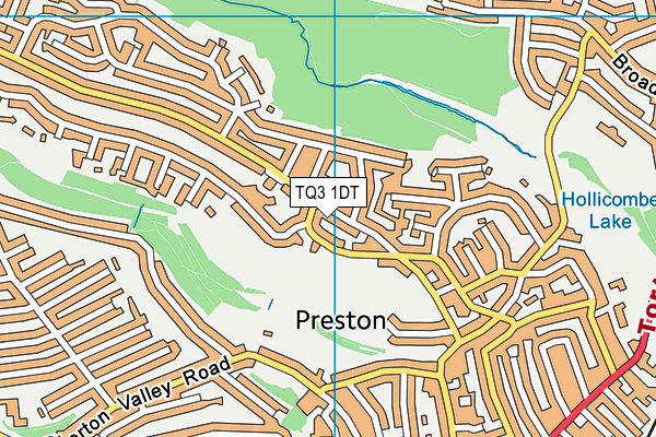 TQ3 1DT map - OS VectorMap District (Ordnance Survey)