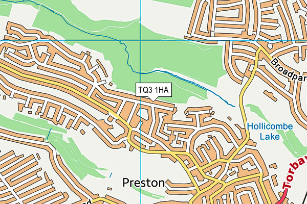 TQ3 1HA map - OS VectorMap District (Ordnance Survey) TQ3 1HA map - OS VectorMap District (Ordnance Survey)
