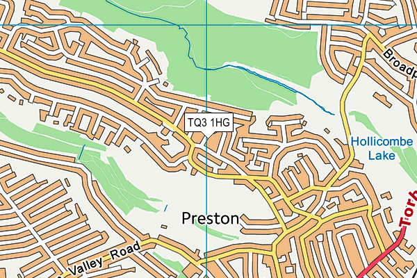 TQ3 1HG map - OS VectorMap District (Ordnance Survey)