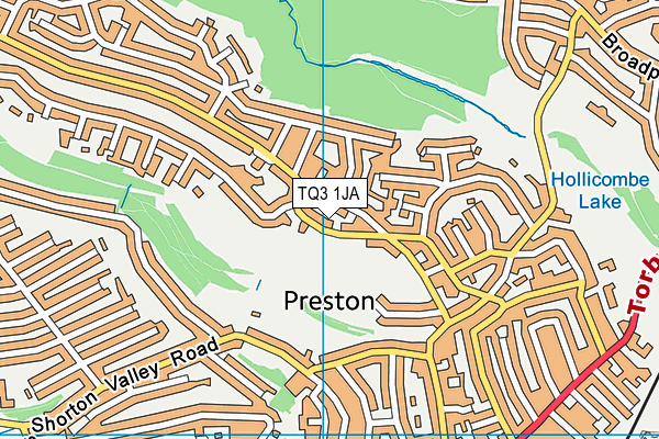 TQ3 1JA map - OS VectorMap District (Ordnance Survey)