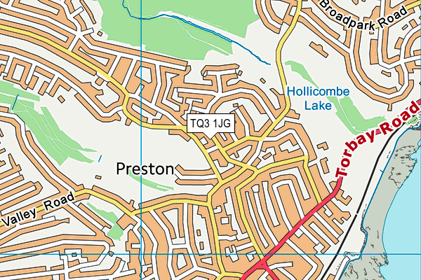 TQ3 1JG map - OS VectorMap District (Ordnance Survey)