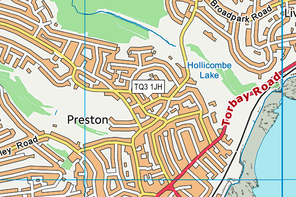 TQ3 1JH map - OS VectorMap District (Ordnance Survey)