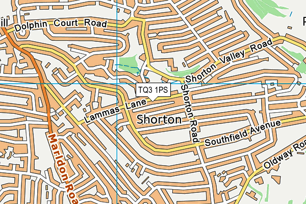 TQ3 1PS map - OS VectorMap District (Ordnance Survey)