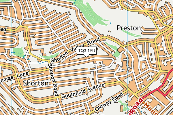TQ3 1PU map - OS VectorMap District (Ordnance Survey) TQ3 1PU map - OS VectorMap District (Ordnance Survey)