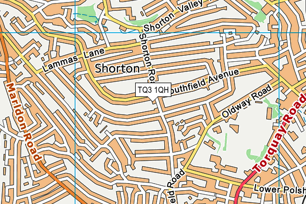 TQ3 1QH map - OS VectorMap District (Ordnance Survey)