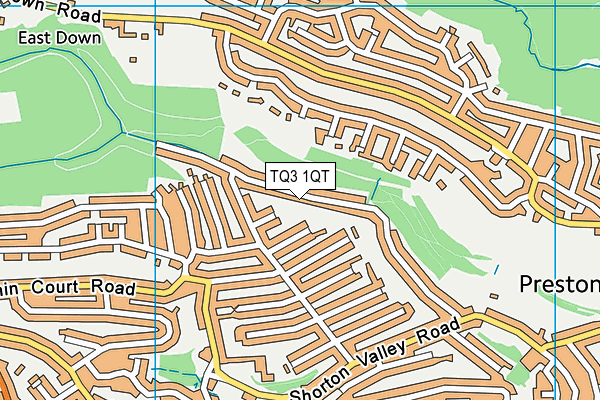 TQ3 1QT map - OS VectorMap District (Ordnance Survey) TQ3 1QT map - OS VectorMap District (Ordnance Survey)