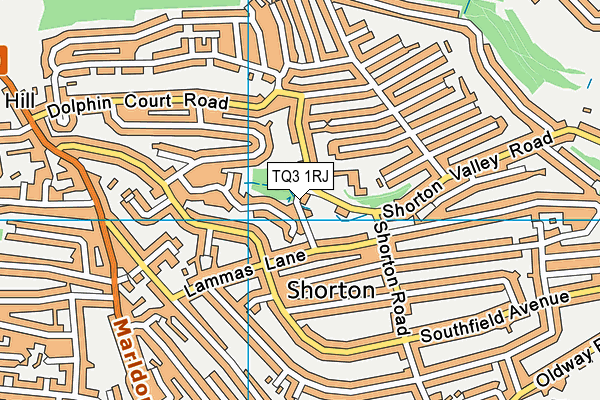 TQ3 1RJ map - OS VectorMap District (Ordnance Survey) TQ3 1RJ map - OS VectorMap District (Ordnance Survey)