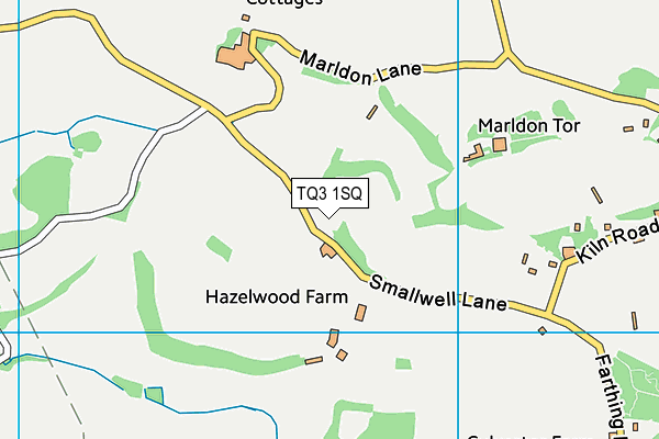 TQ3 1SQ map - OS VectorMap District (Ordnance Survey) TQ3 1SQ map - OS VectorMap District (Ordnance Survey)