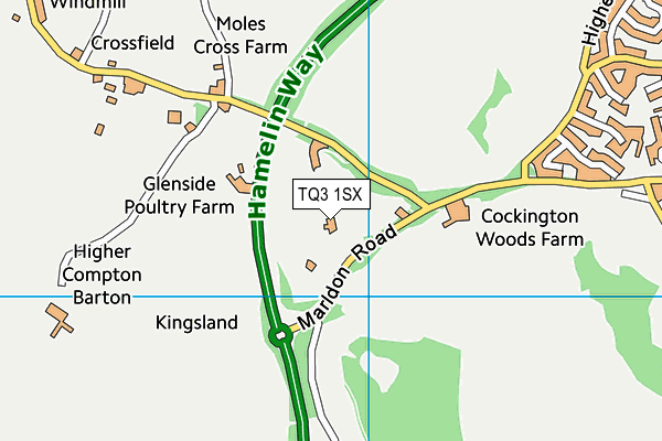 TQ3 1SX map - OS VectorMap District (Ordnance Survey)