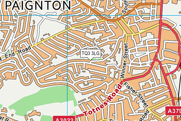 TQ3 3LG map - OS VectorMap District (Ordnance Survey) TQ3 3LG map - OS VectorMap District (Ordnance Survey)