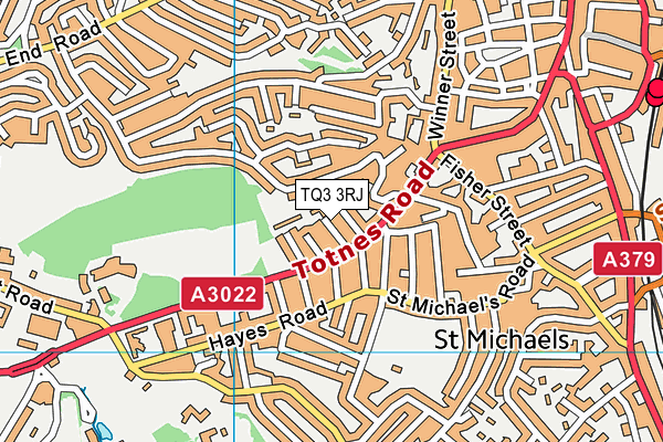 TQ3 3RJ map - OS VectorMap District (Ordnance Survey) TQ3 3RJ map - OS VectorMap District (Ordnance Survey)