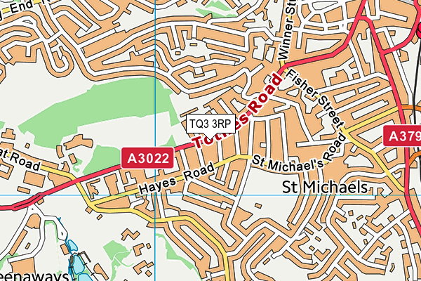 TQ3 3RP map - OS VectorMap District (Ordnance Survey) TQ3 3RP map - OS VectorMap District (Ordnance Survey)
