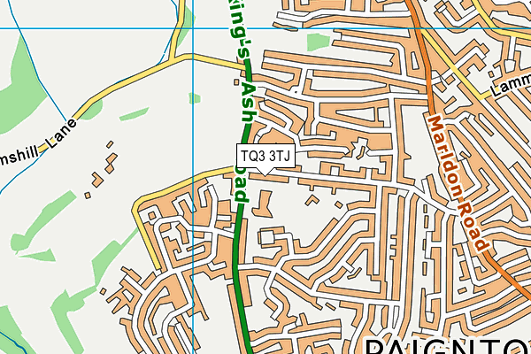 TQ3 3TJ map - OS VectorMap District (Ordnance Survey) TQ3 3TJ map - OS VectorMap District (Ordnance Survey)