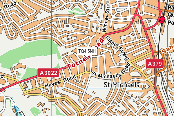 TQ4 5NH map - OS VectorMap District (Ordnance Survey) TQ4 5NH map - OS VectorMap District (Ordnance Survey)