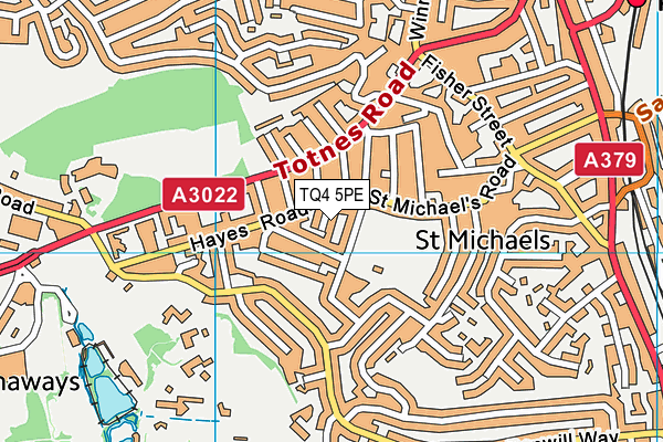 TQ4 5PE map - OS VectorMap District (Ordnance Survey) TQ4 5PE map - OS VectorMap District (Ordnance Survey)