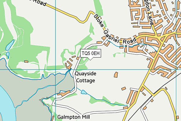 TQ5 0EH map - OS VectorMap District (Ordnance Survey)