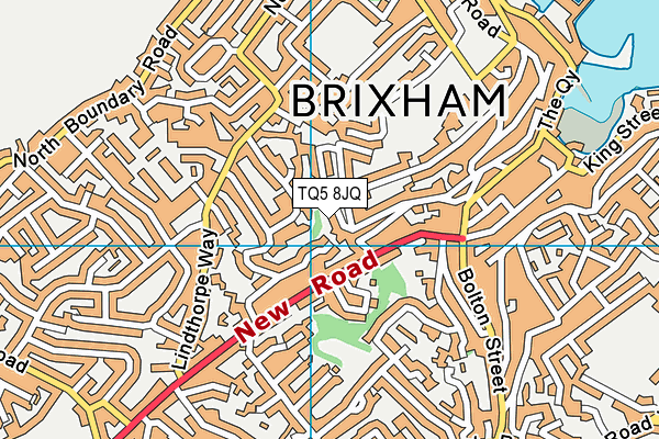 TQ5 8JQ map - OS VectorMap District (Ordnance Survey)